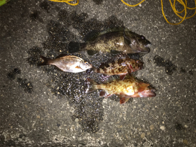 大荒れ三春町岸壁