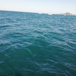 鳥羽ジギング！