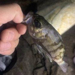 ライトゲーム！