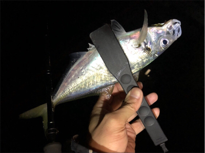 キャロアジング！