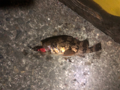 短時間ライトゲーム