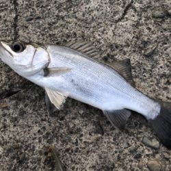 和歌山遠征1日目‼️