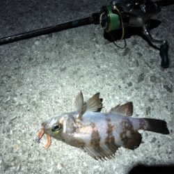 リベンジメバリング