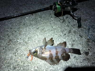 リベンジメバリング