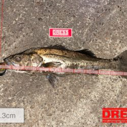 リフトアンドフォール!