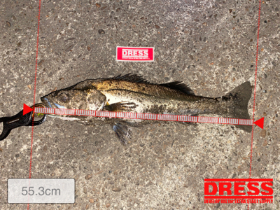 リフトアンドフォール!