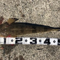 和歌山遠征2日目‼️