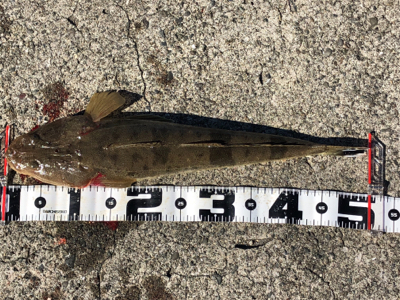 和歌山遠征2日目‼️