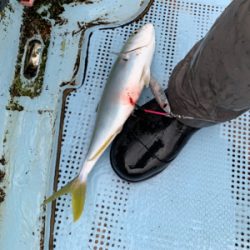 明石沖ジギング