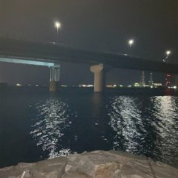 メバル狙いなのに