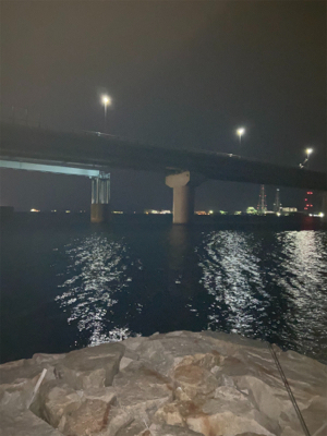 メバル狙いなのに