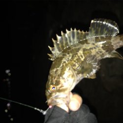 根魚の活性上がってます(^^)