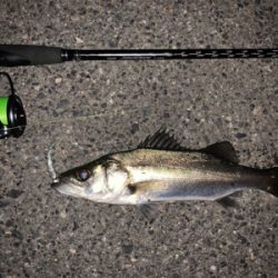 小さいけど2連発