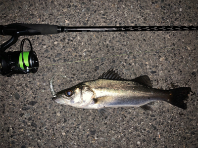 小さいけど2連発