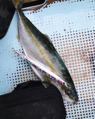 明石沖でジギング