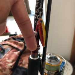 久々のショアタイラバ