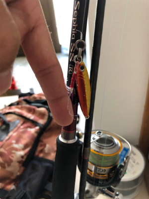 久々のショアタイラバ