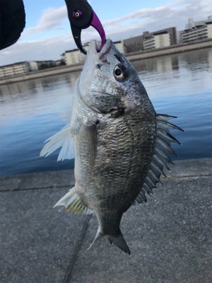 ダブルキャッチ