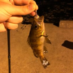 金曜夜のメバリング