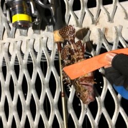 初めての小島養魚場！