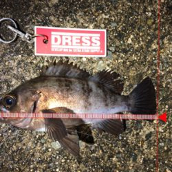 惜しくもつ抜けならず