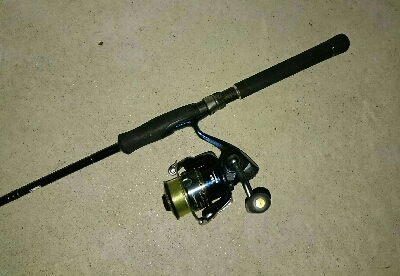 アジング狙いでアラカブw