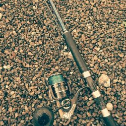 寝坊してもヒラスズキ2本ゲット!!!