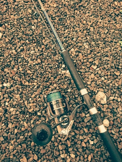 寝坊してもヒラスズキ２本ゲット！！！