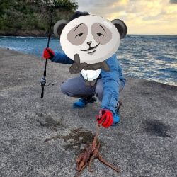 えー！うそぉー！これ食べれんのー？