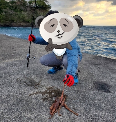 えー！うそぉー！これ食べれんのー？