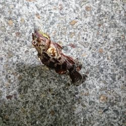 フロートしばり