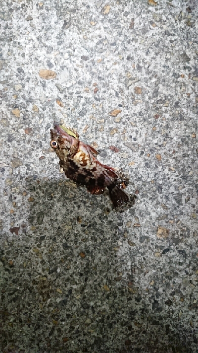 フロートしばり