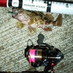 スノームーンは寒かった