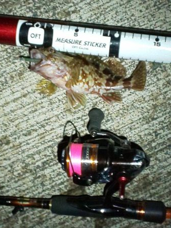 スノームーンは寒かった