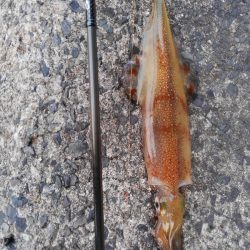 時合は、一瞬？