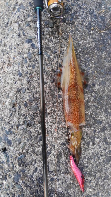 時合は、一瞬？