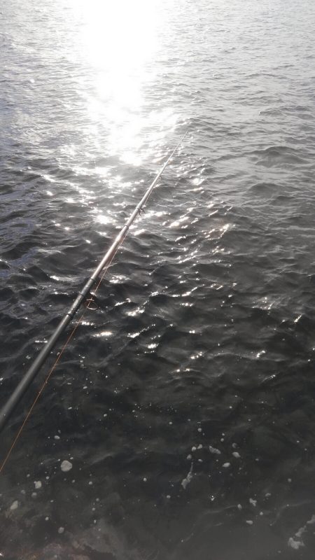 久しぶりにキャッチ