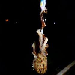 極寒で指が痛い