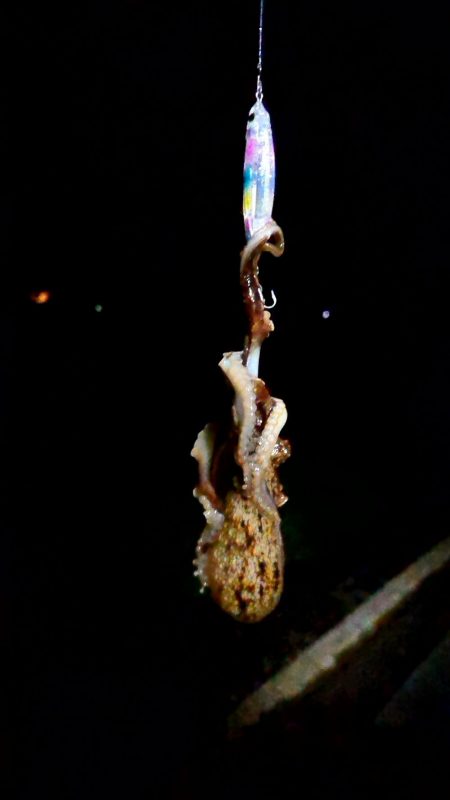 極寒で指が痛い