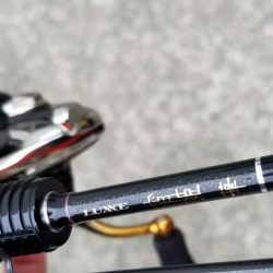 宮崎町箕島漁港アジング