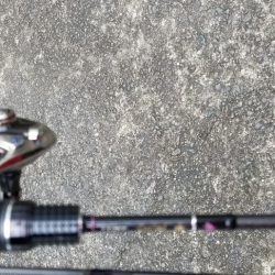 雨上がりアジング