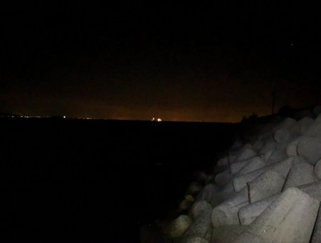 メバルが釣れてた、、ラッキーな夜