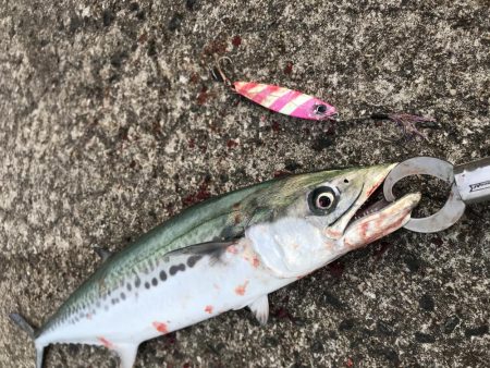 超絶久しぶりに釣れた〜❗&#…