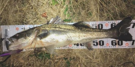 ビッグベイトでやる気スイッチ?