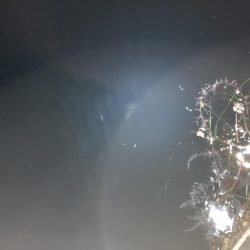 パラソル級のはずが…