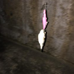 粘ってようやくゲット