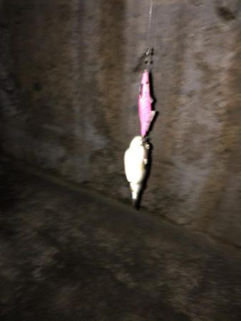 粘ってようやくゲット