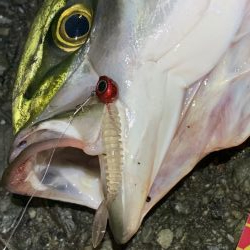 デイアジングで・・・えっ!