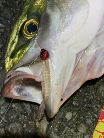 デイアジングで・・・えっ!