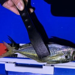 粭島大東漁港アジング